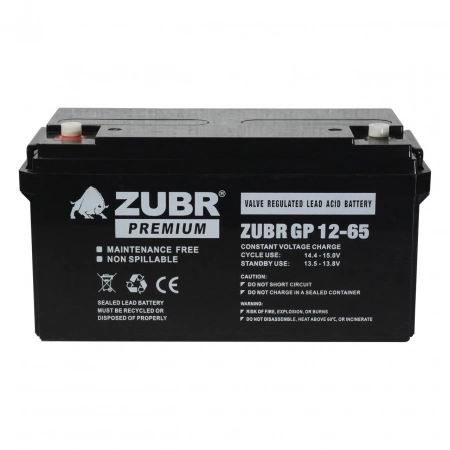 Инвертор ИБП Hiden Control PN-500 + Аккумуляторная батарея для ИБП ZUBR GP12-55 12V65Ah
