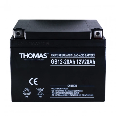 Аккумуляторная батарея для ИБП Thomas GB12-28 12V28Ah