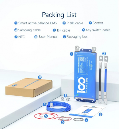 Smart BMS Daly 100A 4-8S