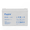 Аккумуляторная батарея Neata NT 12-100