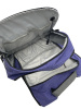 Мобильный солнечный модуль FSM-Backpack